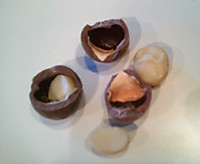 0129_last2