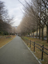 0205_jog_road