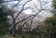 0409_jog3