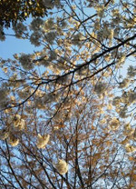 0416_jog1