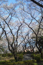 0416_jog2