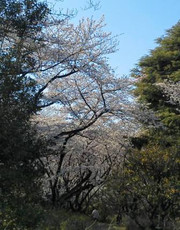 0416_jog3