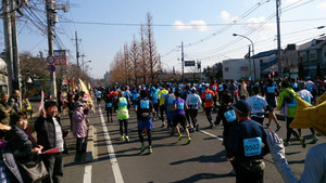 10952404_785616121513677_3292305022