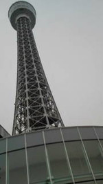 110115_shibara2