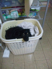 110730_hamapochi_01