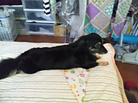 110730_hamapochi_02