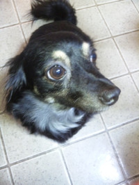 110730_hamapochi_03