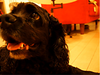 1126_hamapochi_01_4