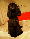 1126_hamapochi_02_4