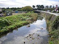 1127_jog_2