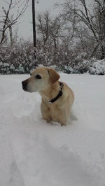 120121_hamapochi
