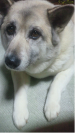 120121_hamapochi_01