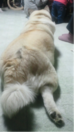 120121_hamapochi_02