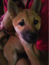 1202_pochi