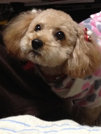 120317_hamapochi_02