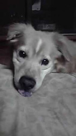120602_hamapochi_02
