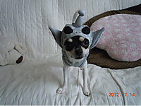 120811_hamapochi