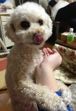 130119_hamapochi