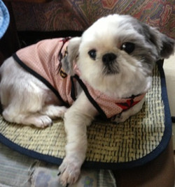 130713_hamapochi_5