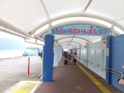 130914_jog_01
