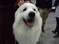 Dscf5705