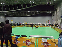 Dscf5717