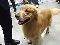 Dscf5723