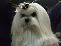 Dscf5729