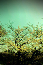 Fxcam_1333594203671