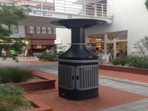 Img_9371_4 Img_9371_4