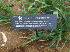 Img_9376_2 Img_9376_2