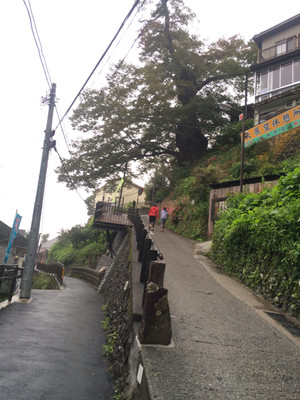 Jog34