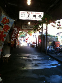 Kinako0716_1_3