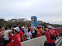 Kinako111029