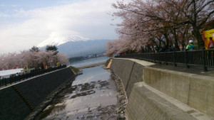 Photo_16