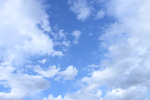 Photo_7