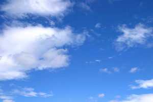 Prigajp_p02973