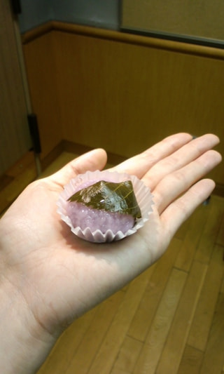 春一番吹きました〜！