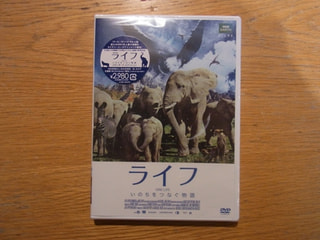 映画「ライフ－いのちをつなぐ物語－」のDVDをプレゼント！