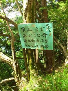 「大山トレイルラン」いよいよ山頂に到着！！
