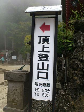 大山トレイルラン、いよいよ山頂へ！