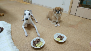 布川康司先生と進藤綾乃さんからアドバイス！