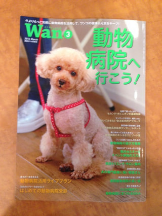 ワンちゃんのギックリ腰について