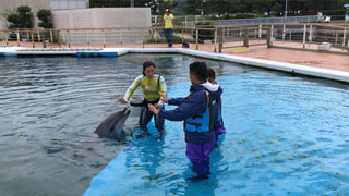 IMALUちゃんとクジラとイルカと…！