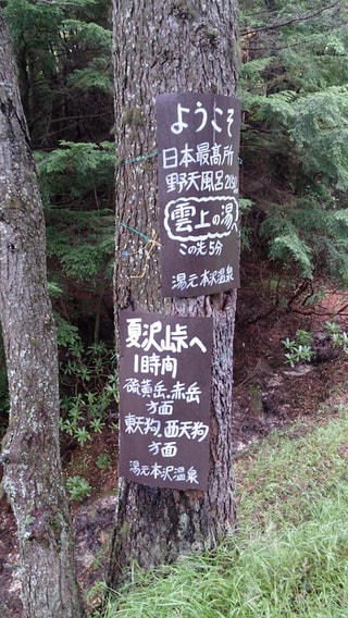 「硫黄岳ラン」本沢温泉〜夏沢峠