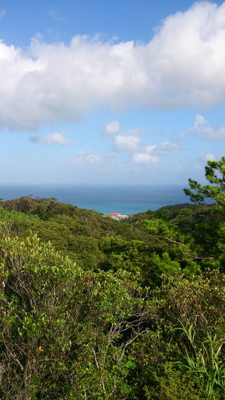Run旅 in Okinawa 〜後編〜