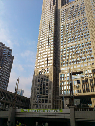 東京夢舞いマラソン2011