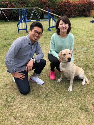 災害救助犬の訓練を一番近くで体験?!
