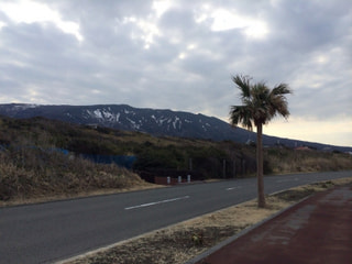大島追い込みRUNのトレーニングプランは？
