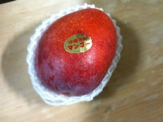 夏の王様ー！
